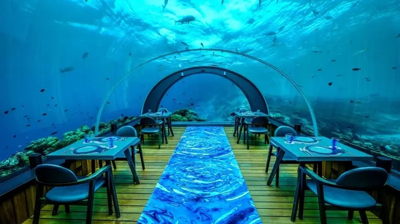 5.8 Undersea Restaurant - Hurawalhi Island Resort