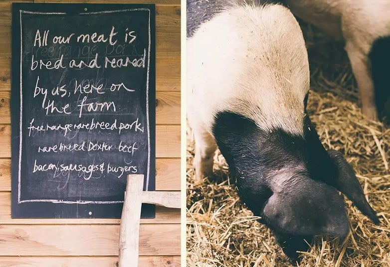 marketing plan for a restaurant business eva-pork-01b-1