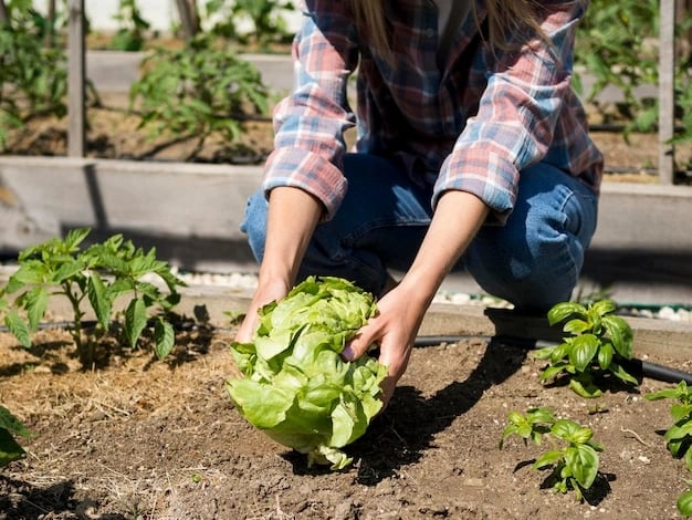 Restaurants with sustainable practices