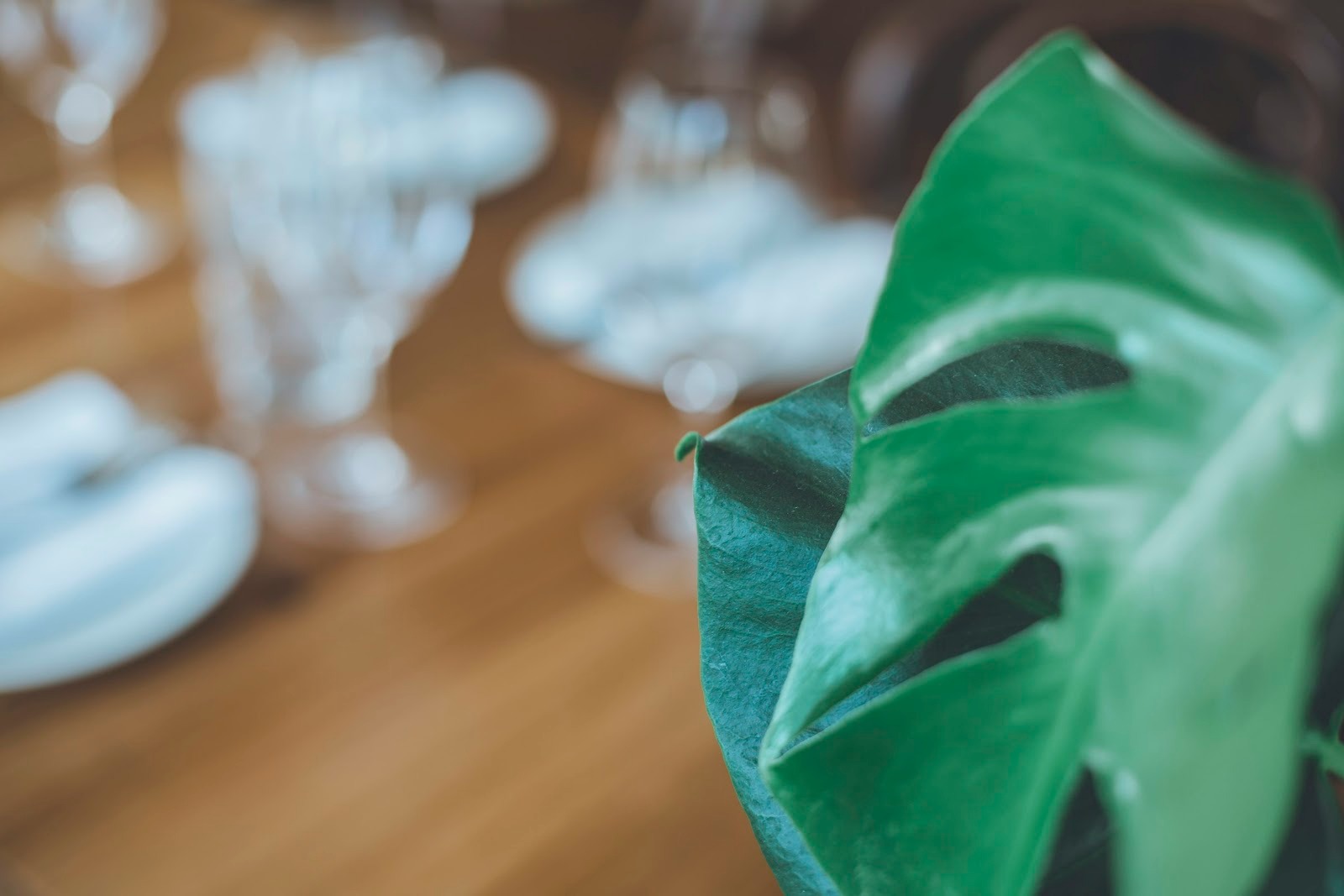 plant-based and sustainable meals on your menu